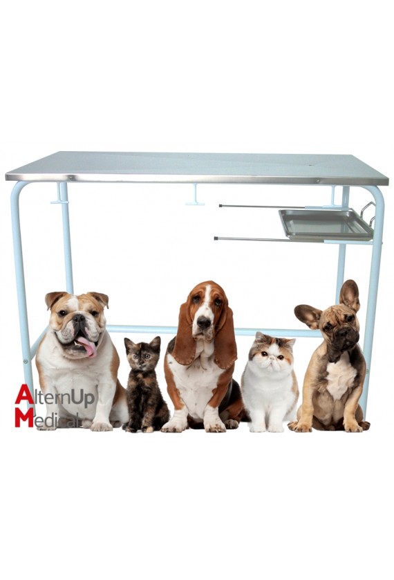 Veterinary Examination Table