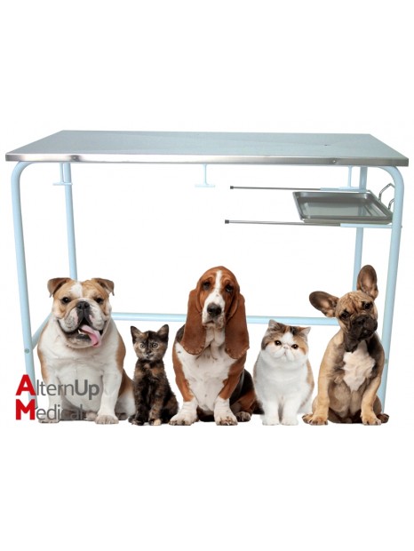 Veterinary Examination Table