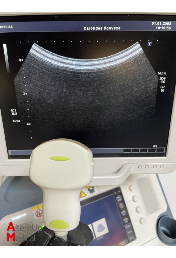 Toshiba Xario SSA-660A Ultrasound with 3 probes